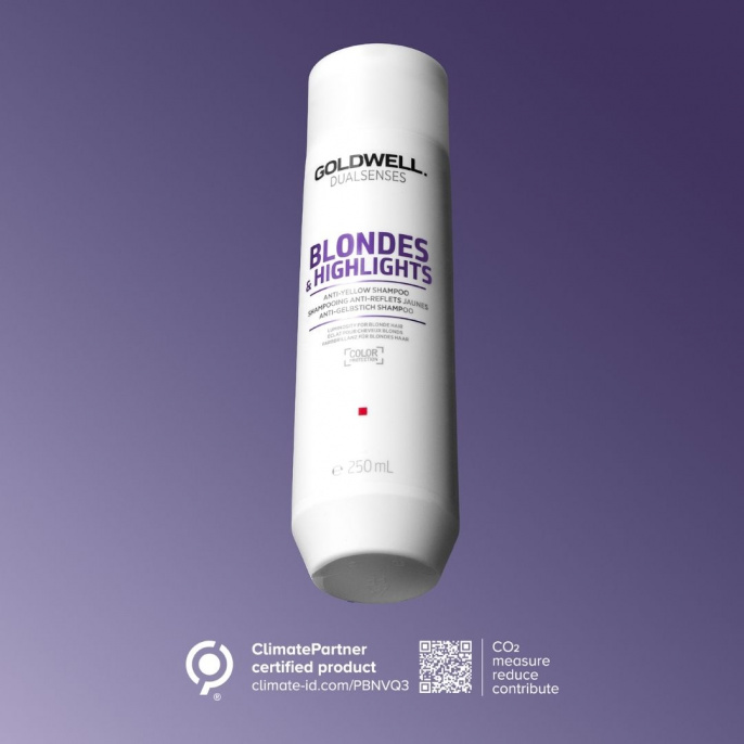 DS BLOND & HIGHLIGHTS шампунь 250